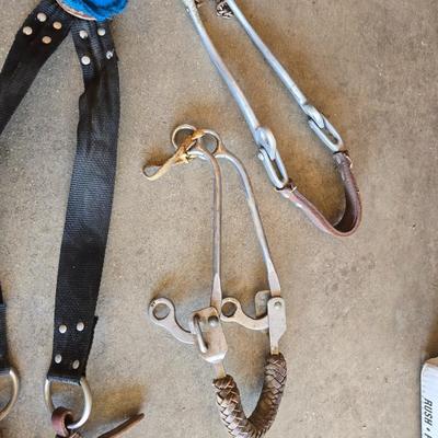 Assorted vintage horse tack - bits - breast collar & girth