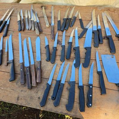 Large variety of Kitchen Knives - all sizes and shapes!