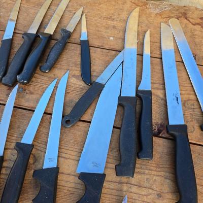 Large variety of Kitchen Knives - all sizes and shapes!