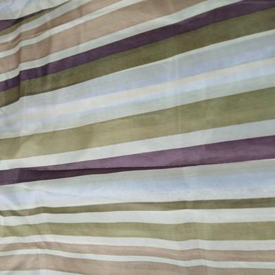 Shower curtains, small rug, and bathroom containers