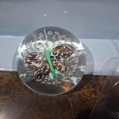 Sale Photo Thumbnail #687: glass paperweigh butterfly