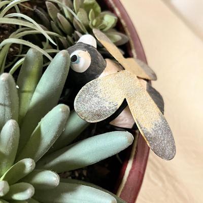 Lot 205 Succulents planter
