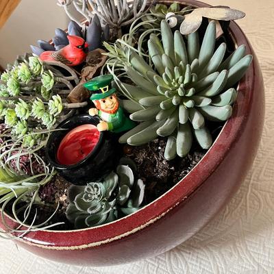 Lot 205 Succulents planter