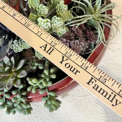 Lot 205 Succulents planter