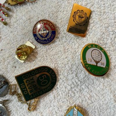 Lot 251 Award Pins