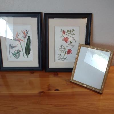2 PICTURES BY JUDY WHEELER
