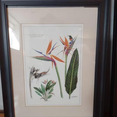 2 PICTURES BY JUDY WHEELER