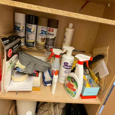 lot 437 Shelf of household items
