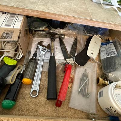 lot 441 Drawer full of gardening items