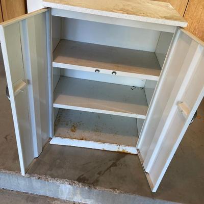 lot 450 Antique metal cabinet