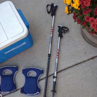 COOLER, ADJUSTABLE WALKING STICKS AND ITEMS FOR FIDO