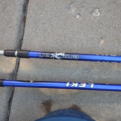 COOLER, ADJUSTABLE WALKING STICKS AND ITEMS FOR FIDO