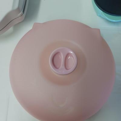 2 ELECTRIC GRIDDLES AND A PIG PLASTIC COVER