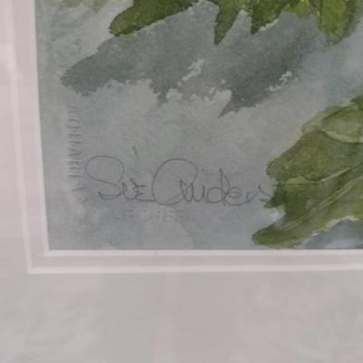 Sale Photo Thumbnail #1245: 'Mums' Original Framed Watercolor by Nationally Recognized Artist Susan Anderson.  Item is framed under plexiglass.