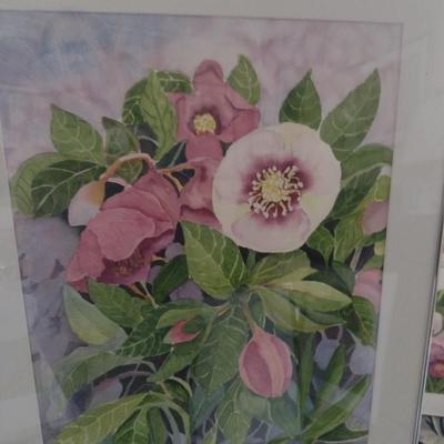 Sale Photo Thumbnail #1254: 'Lenten Rose' Original Framed Watercolor by Nationally Recognized Artist Susan Anderson.  Item is framed under plexiglass.