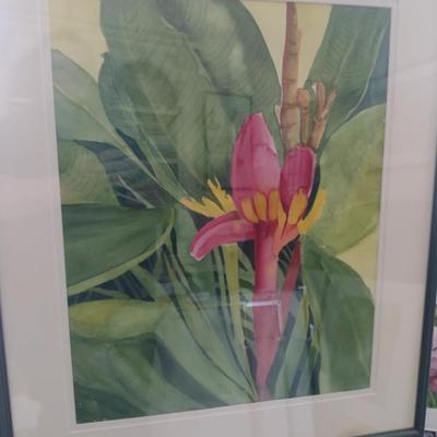 Sale Photo Thumbnail #1269: 'Banana Bloom' Original Framed Watercolor by Nationally Recognized Artist Susan Anderson.  Item is framed under plexiglass.