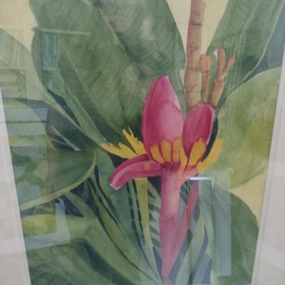 Sale Photo Thumbnail #1271: 'Banana Bloom' Original Framed Watercolor by Nationally Recognized Artist Susan Anderson.  Item is framed under plexiglass.