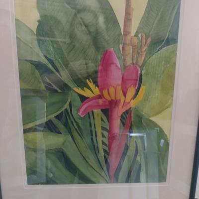 Sale Photo Thumbnail #1270: 'Banana Bloom' Original Framed Watercolor by Nationally Recognized Artist Susan Anderson.  Item is framed under plexiglass.