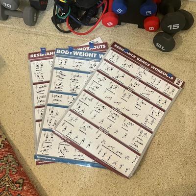 Bob and Brad Resistance Bands Plus Weights & More (PB-RG)