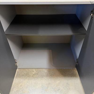 Garage Storage Cabinet & Chest of Drawers (WS-MG)