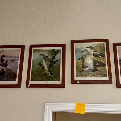 Sale Photo Thumbnail #58: ALL THE DUCKS ON THE WALL - STUDY