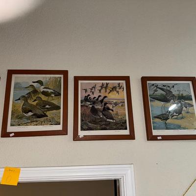 Sale Photo Thumbnail #57: ALL THE DUCKS ON THE WALL - STUDY