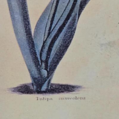 LOT 109H: Three Framed Flower Prints and Gold-tone Bowl with Lid