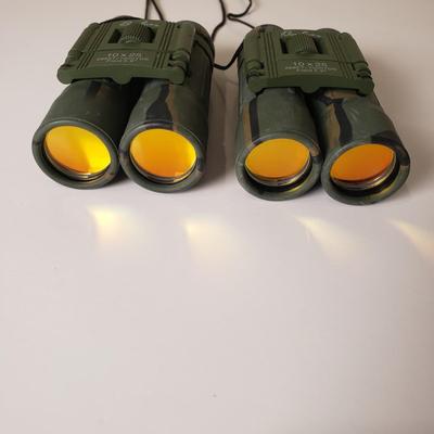 LOT 121B: Pair of Binolux 10 x 25 Camouflage Binoculars