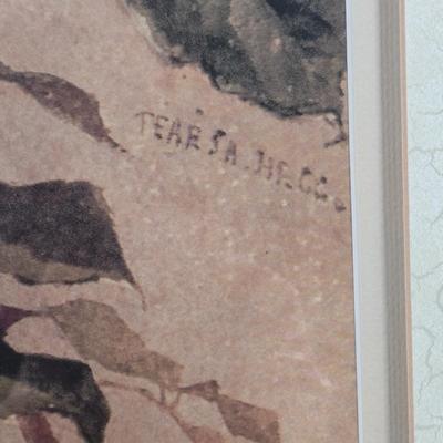 LOT 164Y: Large Framed Floral Print and Lidded Glass Apothecary Jar