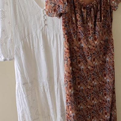 LOT 169W: Two Summer Dresses with Matching Pair of Clog Mule