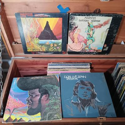 LOT 25: Large Lot of Unsorted Vintage Records