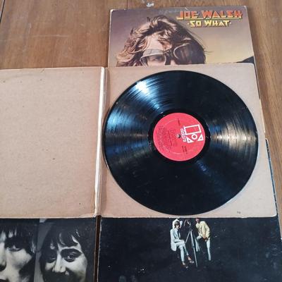 LOT 137: Vintage Records - The Doors, Van Halen, Joe Walsh & More