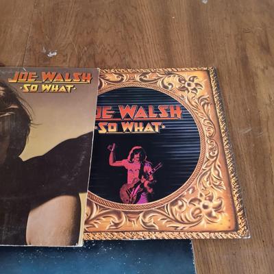 LOT 137: Vintage Records - The Doors, Van Halen, Joe Walsh & More