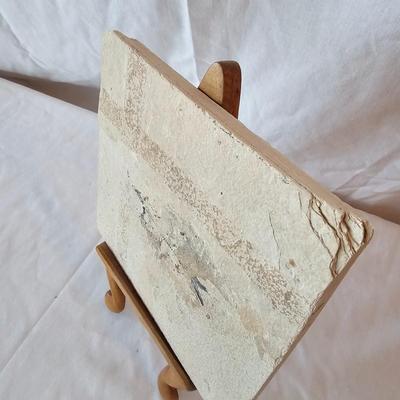 Fossilized Fish in Stone & Handmade Pottery (LR-JS)