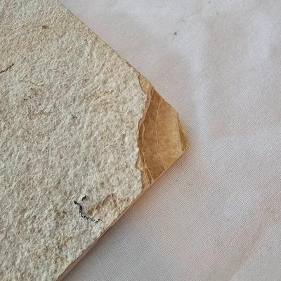 Fossilized Fish in Stone & Handmade Pottery (LR-JS)