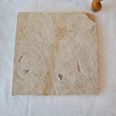 Fossilized Fish in Stone & Handmade Pottery (LR-JS)