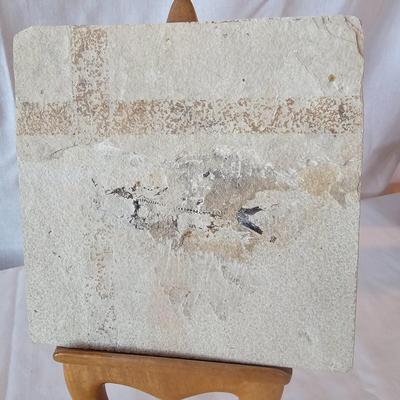 Fossilized Fish in Stone & Handmade Pottery (LR-JS)