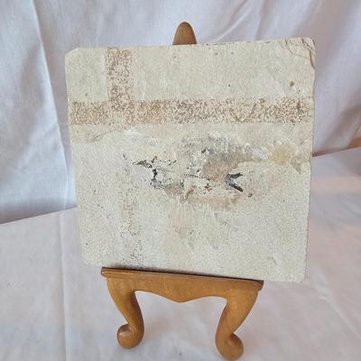 Fossilized Fish in Stone & Handmade Pottery (LR-JS)