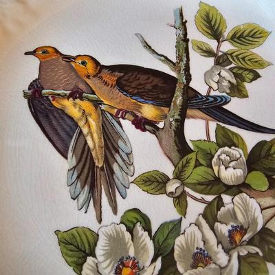 National Audubon Society Decorative Birds China (DR-JS)