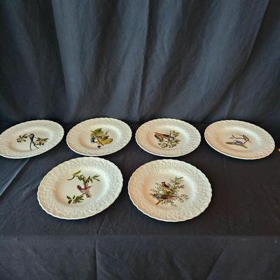 National Audubon Society Decorative Birds China (DR-JS)