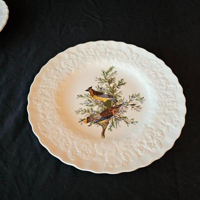 National Audubon Society Decorative Birds China (DR-JS)