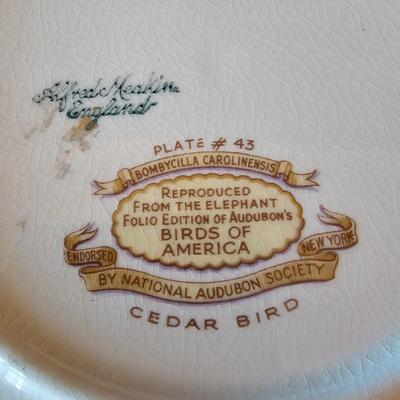 National Audubon Society Decorative Birds China (DR-JS)