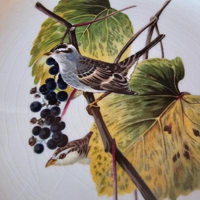 National Audubon Society Decorative Birds China (DR-JS)