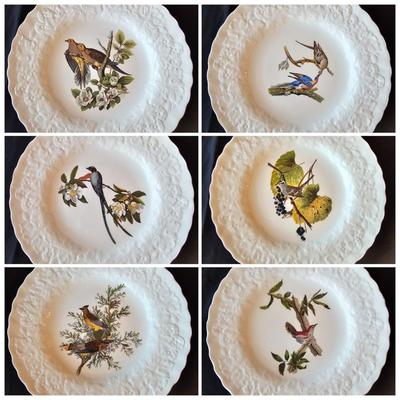 National Audubon Society Decorative Birds China (DR-JS)