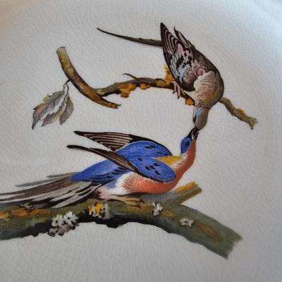National Audubon Society Decorative Birds China (DR-JS)