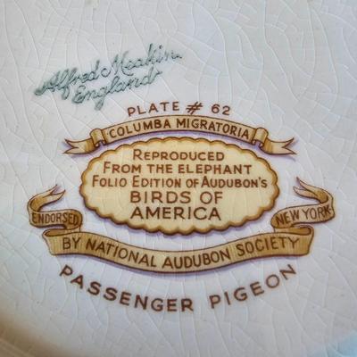 National Audubon Society Decorative Birds China (DR-JS)