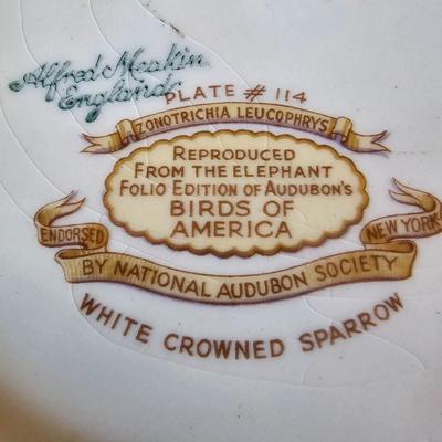 National Audubon Society Decorative Birds China (DR-JS)