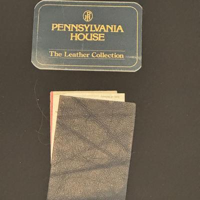 Midnight, blue leather sofa, and rug