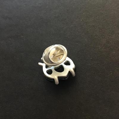Bug lapel pin