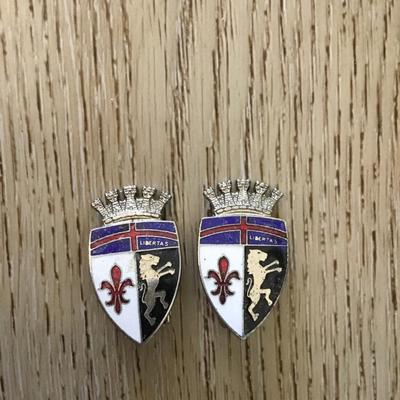 Vintage enamel coat of arms, libertas shield clip on earrings, crown lion blue red